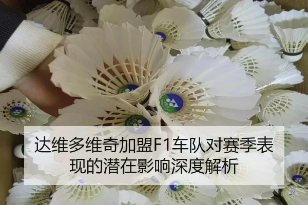 达维多维奇加盟F1车队对赛季表现的潜在影响深度解析