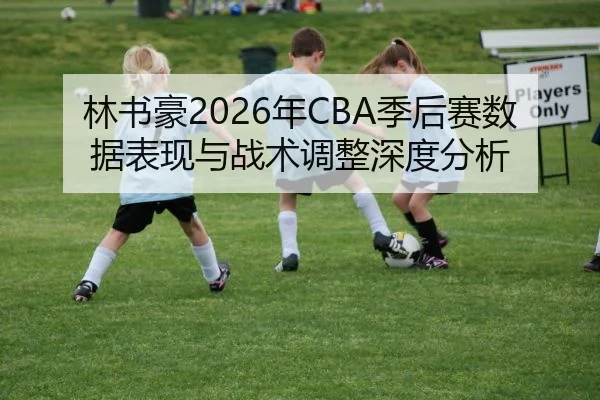 林书豪2026年CBA季后赛数据表现与战术调整深度分析